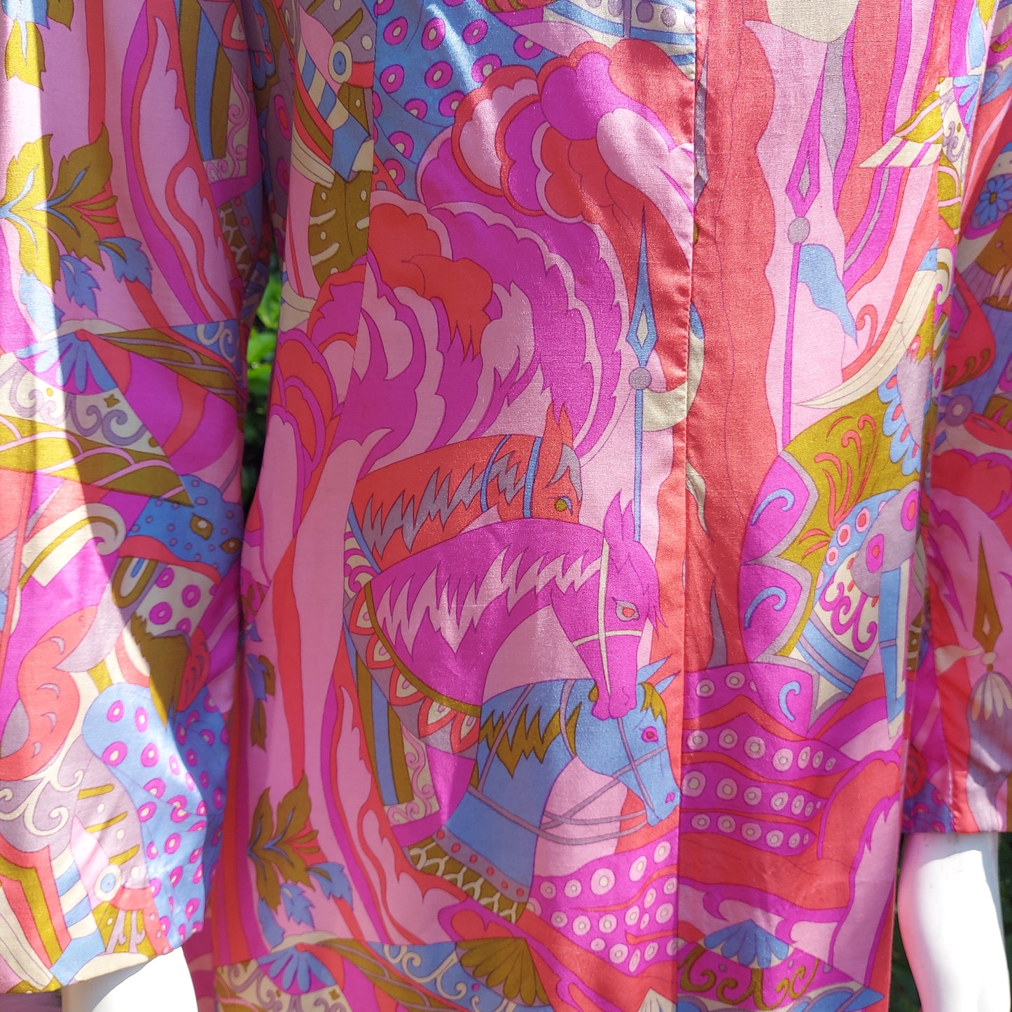 1960s vintage boutique Wild Horses Dress